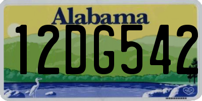 AL license plate 12DG542