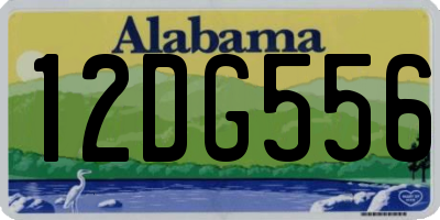 AL license plate 12DG556