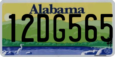 AL license plate 12DG565