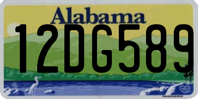 AL license plate 12DG589