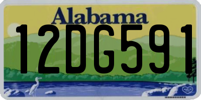 AL license plate 12DG591