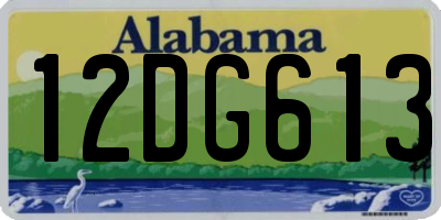 AL license plate 12DG613