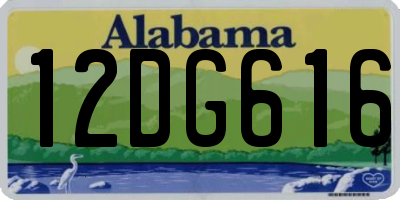 AL license plate 12DG616