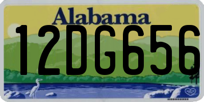 AL license plate 12DG656