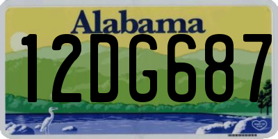 AL license plate 12DG687