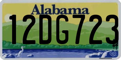 AL license plate 12DG723