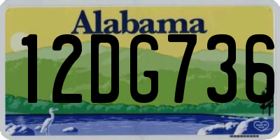 AL license plate 12DG736