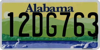 AL license plate 12DG763