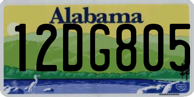 AL license plate 12DG805