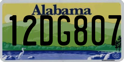AL license plate 12DG807