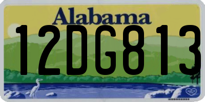 AL license plate 12DG813