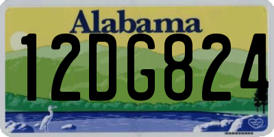 AL license plate 12DG824