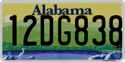 AL license plate 12DG838