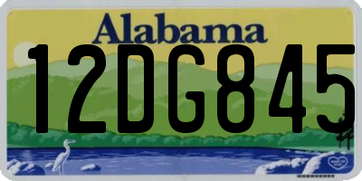 AL license plate 12DG845
