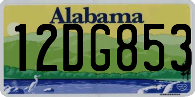 AL license plate 12DG853
