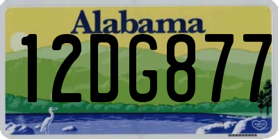 AL license plate 12DG877