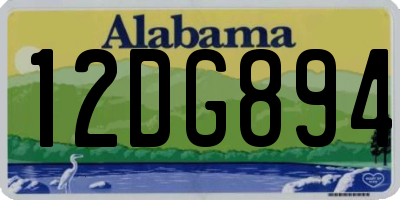 AL license plate 12DG894