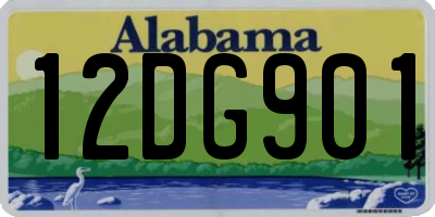 AL license plate 12DG901