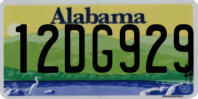 AL license plate 12DG929