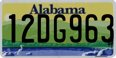 AL license plate 12DG963