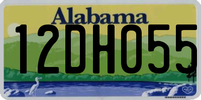 AL license plate 12DH055