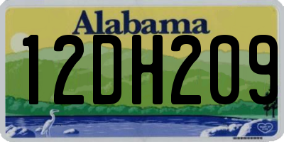 AL license plate 12DH209