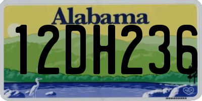 AL license plate 12DH236
