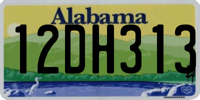 AL license plate 12DH313