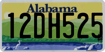 AL license plate 12DH525