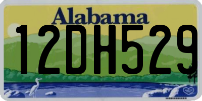 AL license plate 12DH529