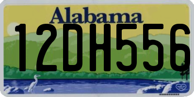 AL license plate 12DH556