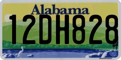 AL license plate 12DH828