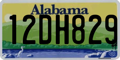 AL license plate 12DH829