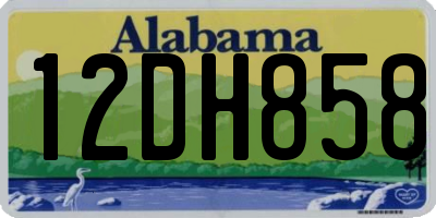 AL license plate 12DH858
