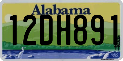 AL license plate 12DH891