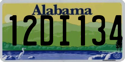 AL license plate 12DI134