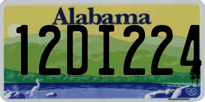 AL license plate 12DI224