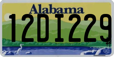 AL license plate 12DI229