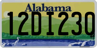 AL license plate 12DI230