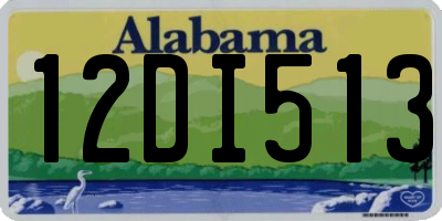 AL license plate 12DI513