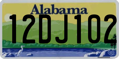 AL license plate 12DJ102