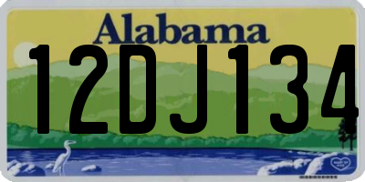 AL license plate 12DJ134