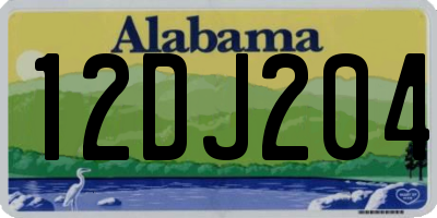 AL license plate 12DJ204