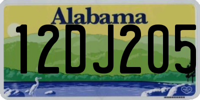 AL license plate 12DJ205