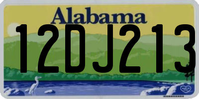 AL license plate 12DJ213