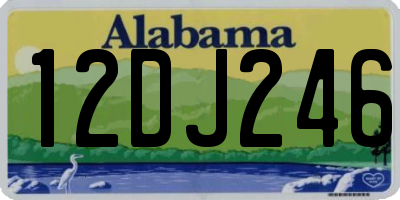 AL license plate 12DJ246