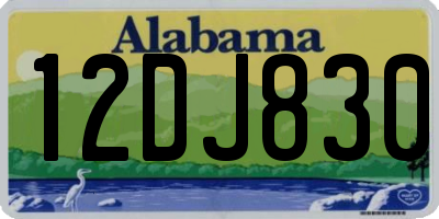 AL license plate 12DJ830