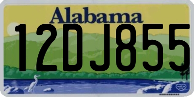 AL license plate 12DJ855