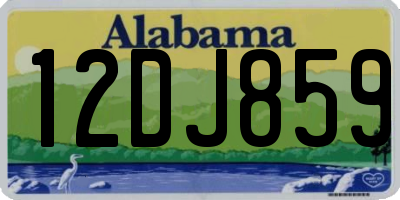 AL license plate 12DJ859