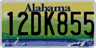 AL license plate 12DK855